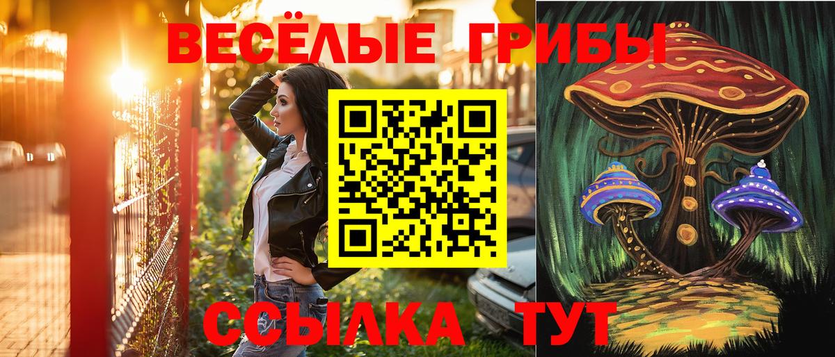 Буйнакск  Галлюциногенные грибы MAGIC MUSHROOMS  Псилоцибиновые грибы MAGIC MUSHROOMS  Вход с VPN 