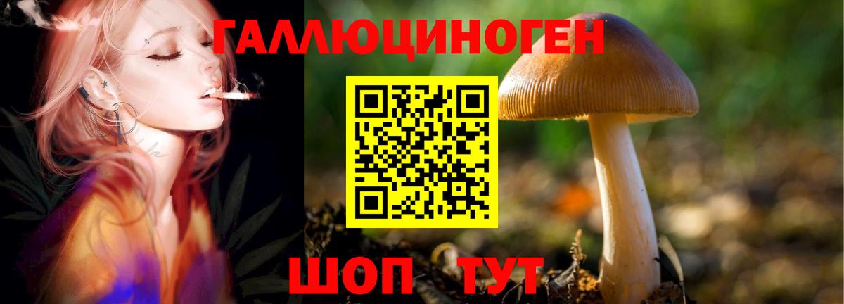 Псилоцибиновые грибы Magic Shrooms Буйнакск