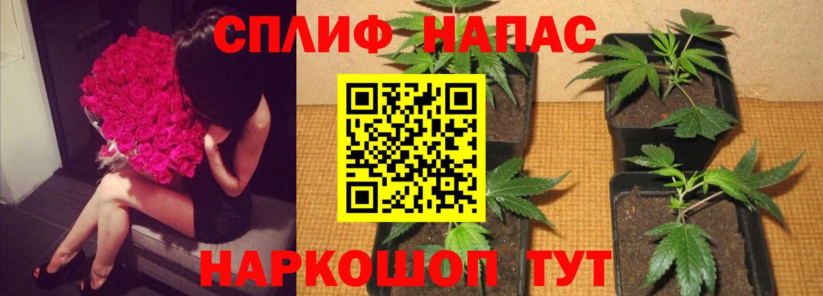 Бошки Шишки марихуана  МАРИХУАНА тримм  Каннабис гибрид  Буйнакск  Вход с VPN 